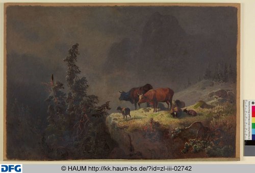 http://diglib.hab.de/varia/haumzeichnungen/zl-iii-02742/max/000001.jpg (Herzog Anton Ulrich-Museum RR-F)