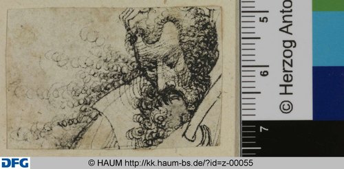 http://diglib.hab.de/varia/haumzeichnungen/z-00055/max/000001.jpg (Herzog Anton Ulrich-Museum RR-F)