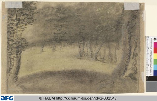http://diglib.hab.de/varia/haumzeichnungen/z-03254v/max/000001.jpg (Herzog Anton Ulrich-Museum RR-F)