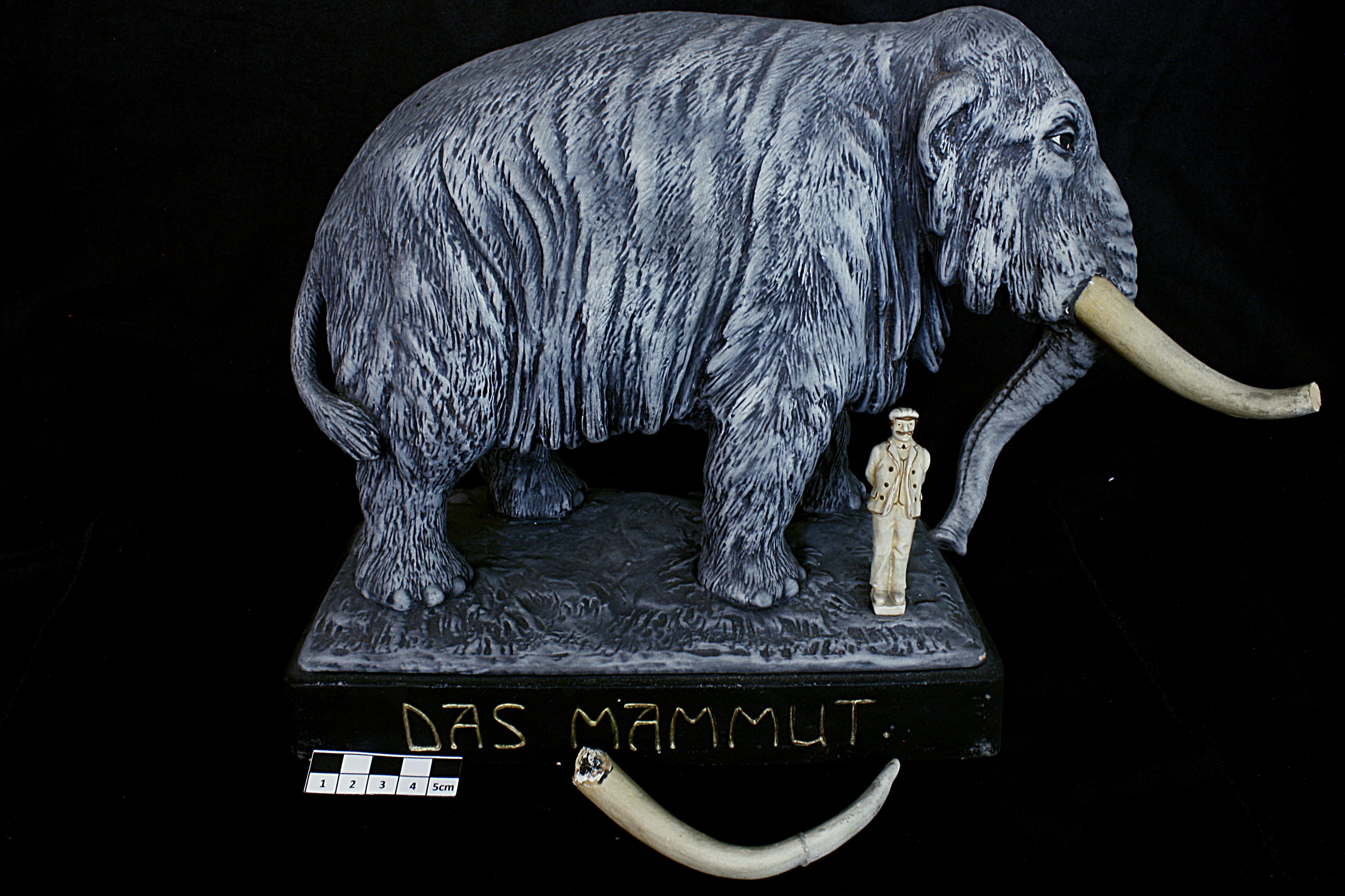 60_Das Mammut_De (Naturkunde-Museum Bielefeld (namu) CC BY-NC-SA)