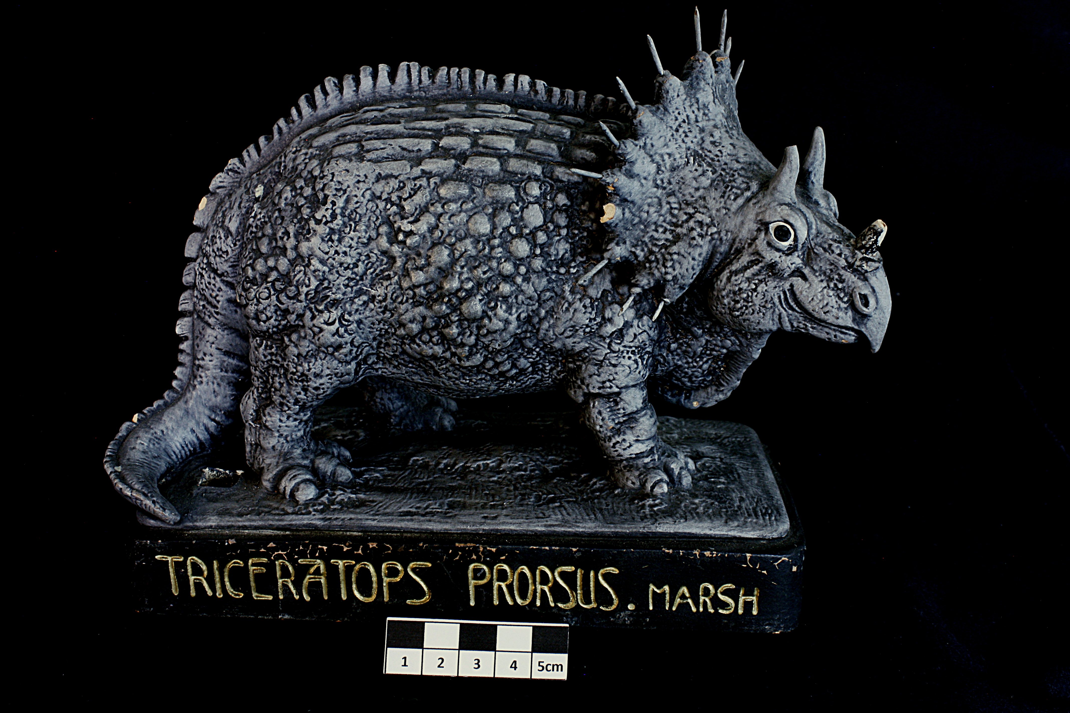 61_Triceratops_De. (Naturkunde-Musseum, Bielefeld CC BY-NC-SA)