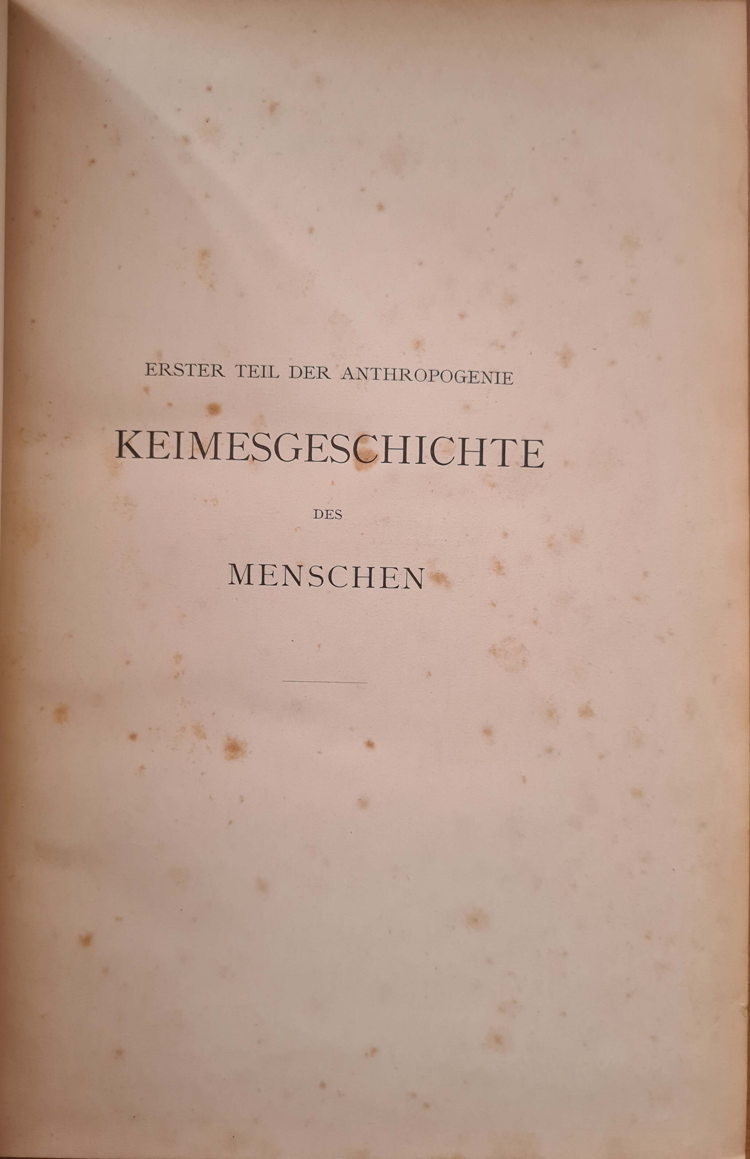 Erster Teil der Anthropogenie – Keimesgeschichte des Menschen (Krankenhausmuseum Bielefeld e.V. CC BY-NC-SA)