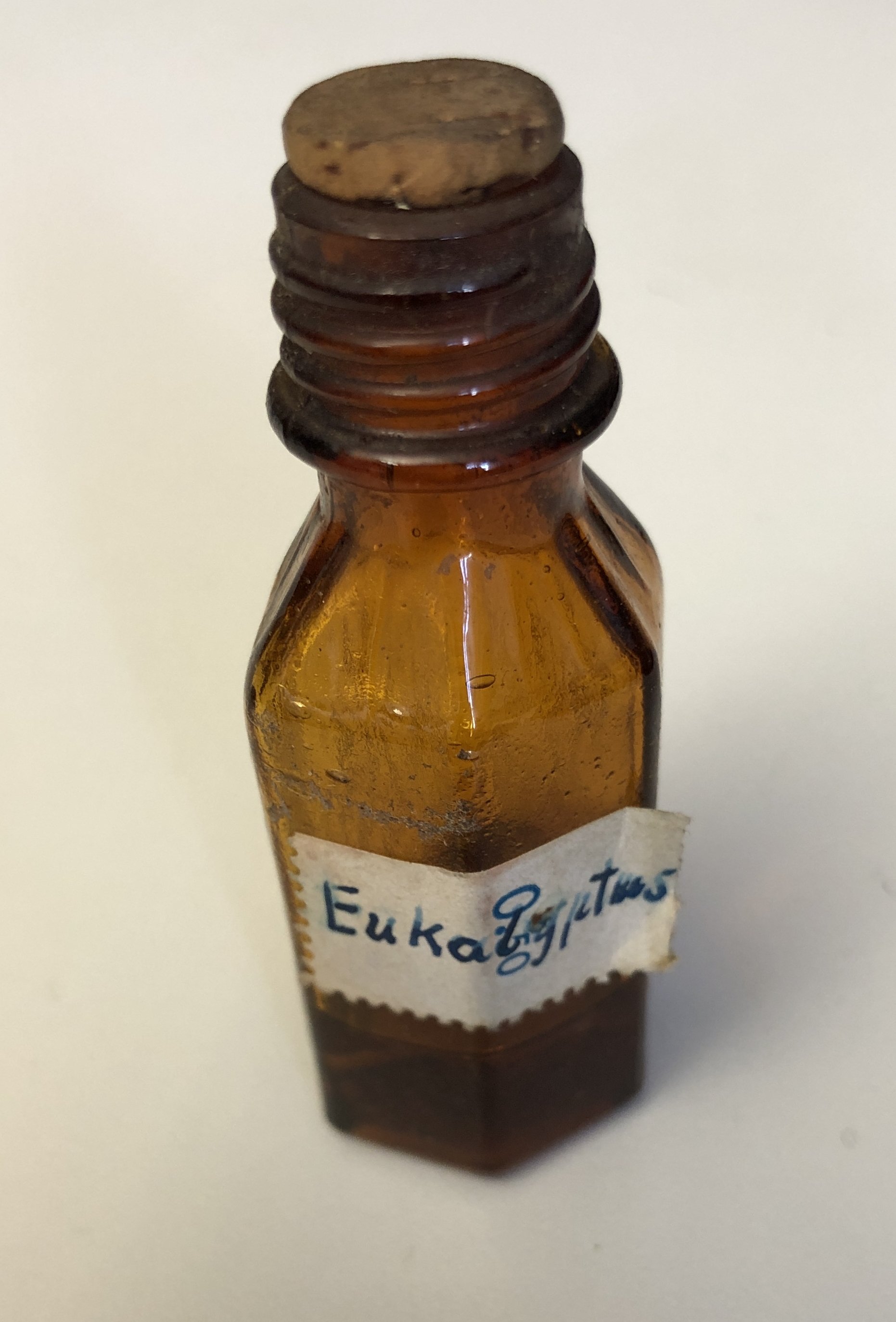 Eukalyptus (Krankenhausmuseum Bielefeld e.V. CC BY-NC-SA)