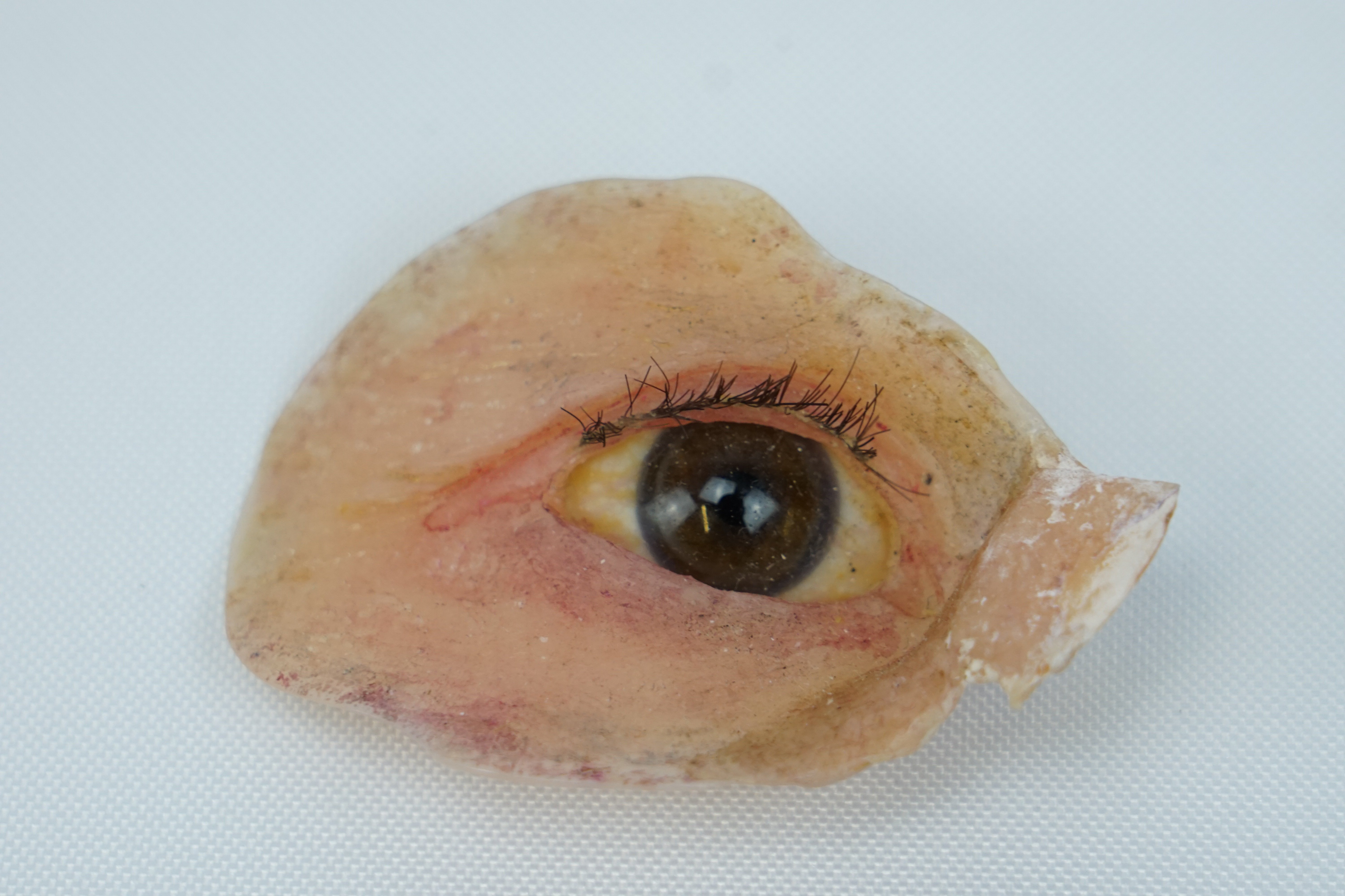 Modell einer Augenplastik (Krankenhausmuseum Bielefeld e.V. CC BY-NC-SA)