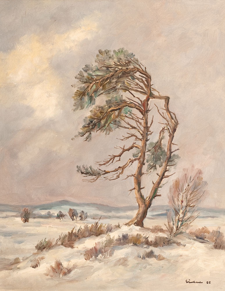 Baum mit Erdhügelgrab in der Senne (Lippisches Landesmuseum Detmold CC BY-NC-SA)