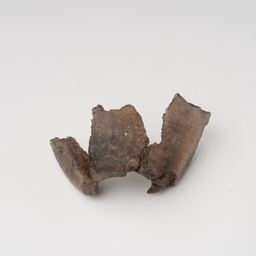 Trichter oder Trichtergefäß (Lippisches Landesmuseum Detmold CC BY-NC-SA)