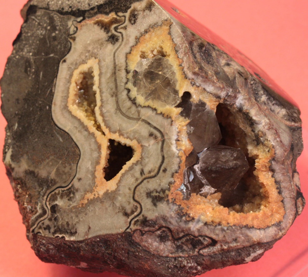 Mineralneubildung in Ammonit (Naturkunde-Museum Bielefeld (namu) CC BY-NC-SA)
