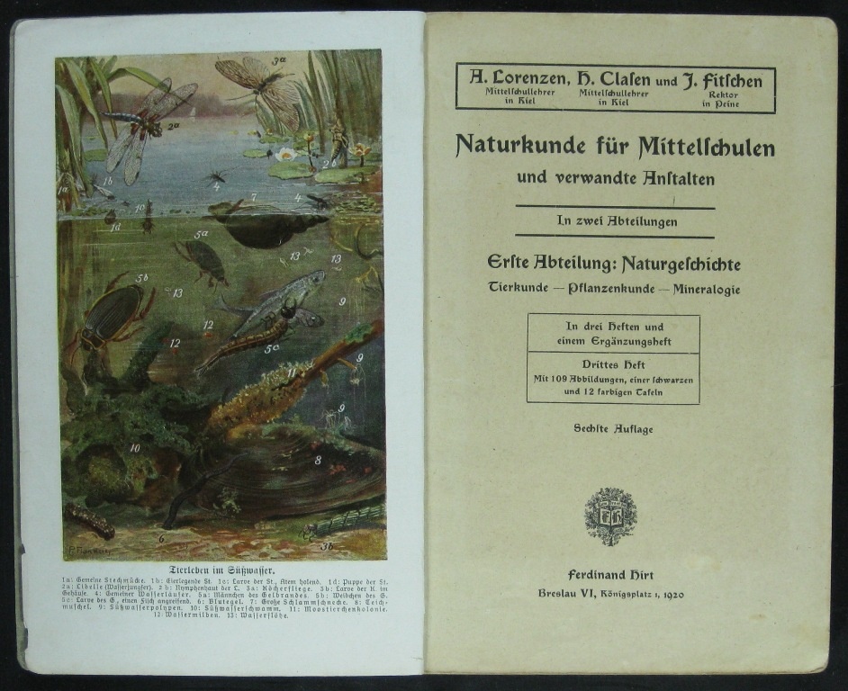Lorenzen/ Clasen/ Fitschen, Naturkunde für Mittelschulen (Museumsschule Hiddenhausen CC BY-NC-SA)