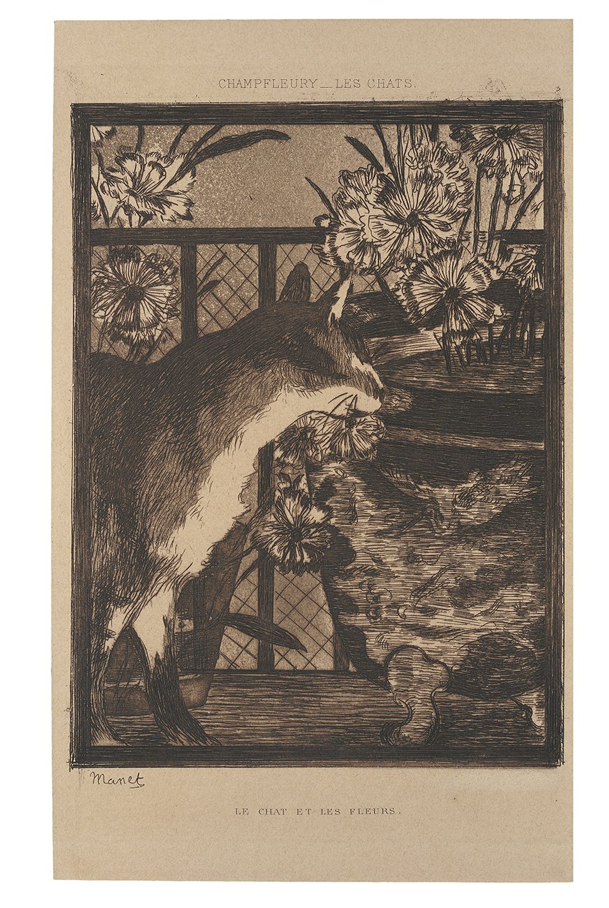 Le Chat et les fleurs (Die Katze und die Blumen) (Kunsthalle Bielefeld Public Domain Mark)