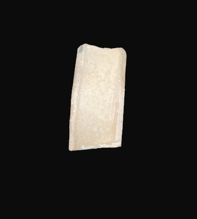 Fragment eines Bandhenkels (Lippisches Landesmuseum Detmold CC BY-NC-SA)