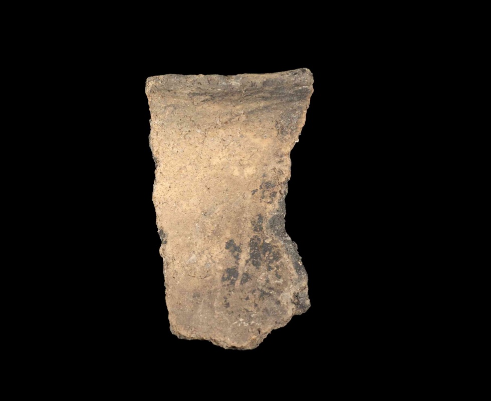 Randscherbe eines Topfes (Lippisches Landesmuseum Detmold CC BY-NC-SA)