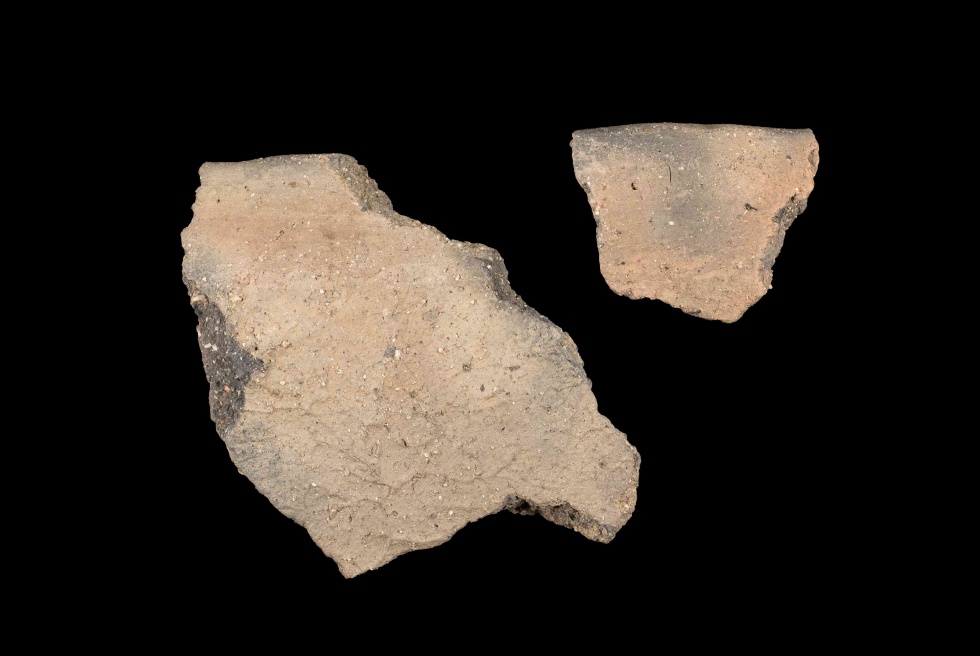 Fragmente einer Schale (Lippisches Landesmuseum Detmold CC BY-NC-SA)