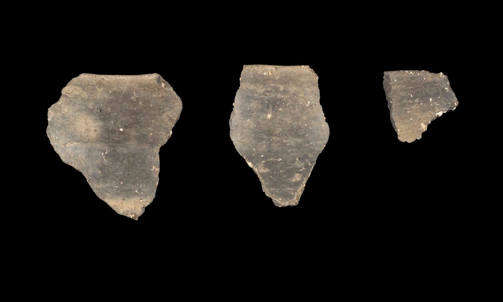 Scherben eines Topfes (Lippisches Landesmuseum Detmold CC BY-NC-SA)