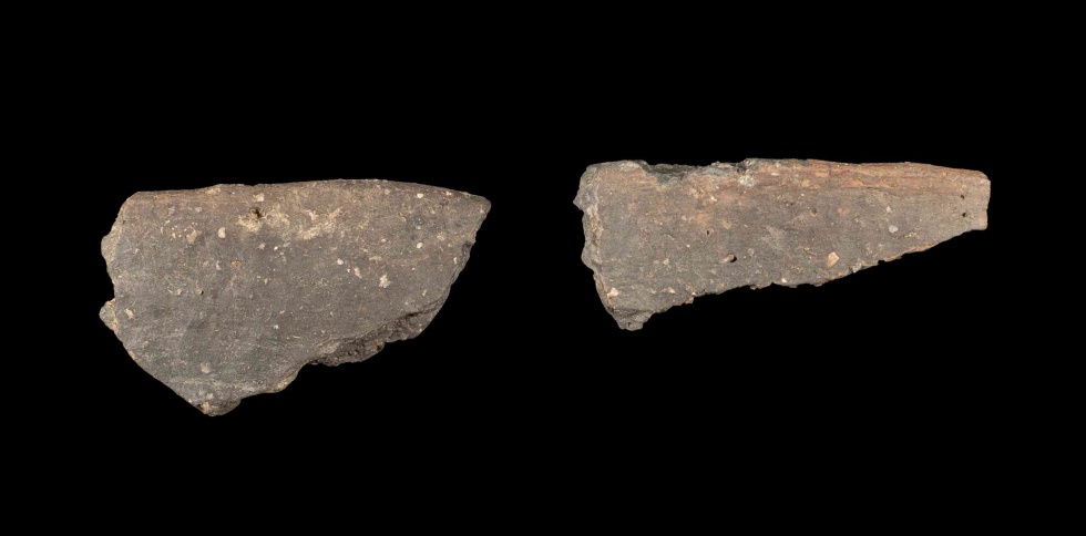 Randscherben einer Schale (Lippisches Landesmuseum Detmold CC BY-NC-SA)