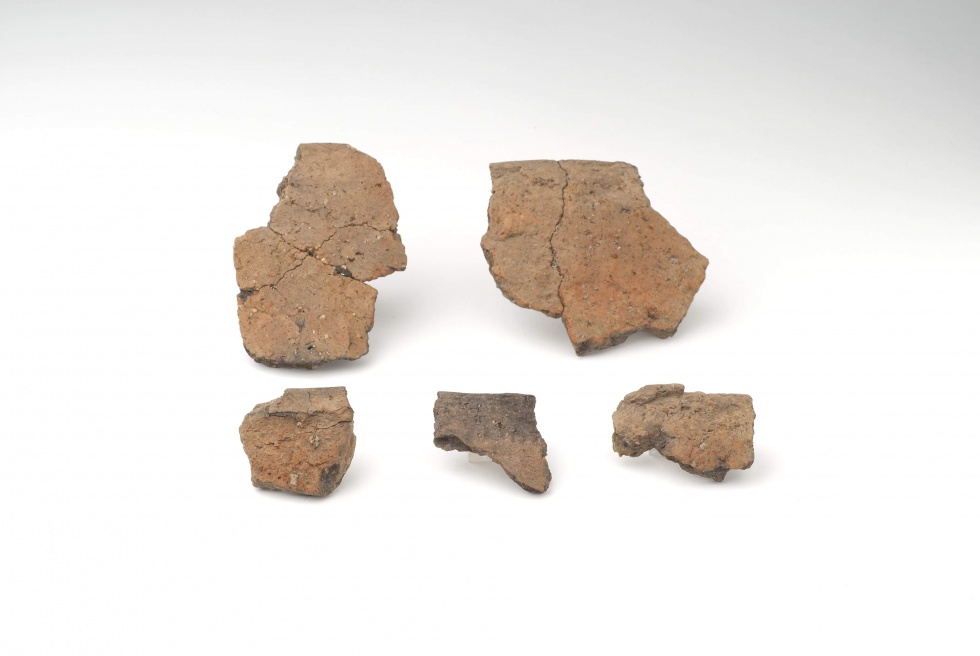 Topf oder Schale einer Urnenbestattung (Lippisches Landesmuseum Detmold CC BY-NC-SA)