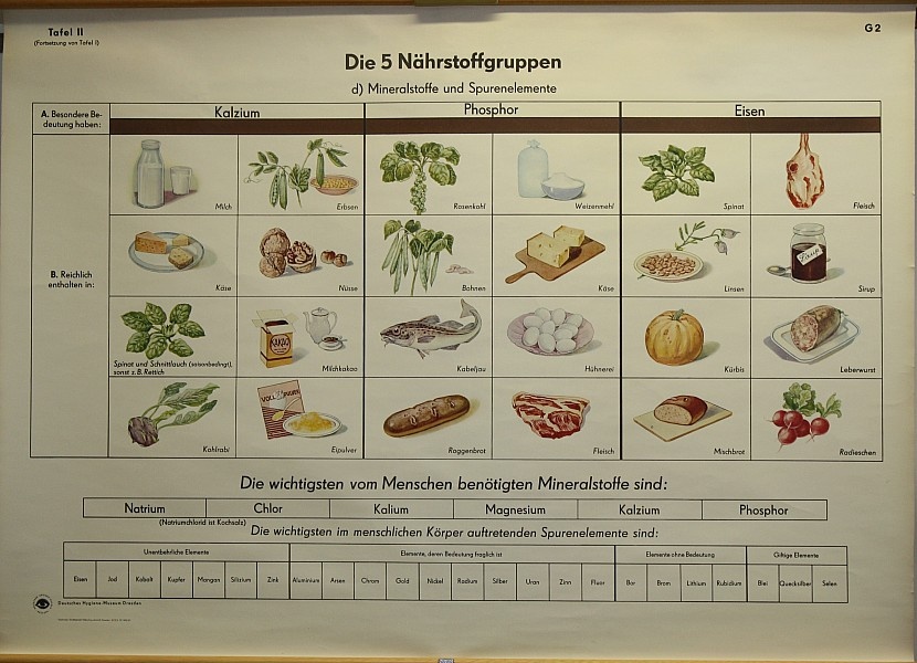 Lehrtafel Nährstoffgruppen 2 (Krankenhausmuseum Bielefeld e.V. CC BY-NC-SA)