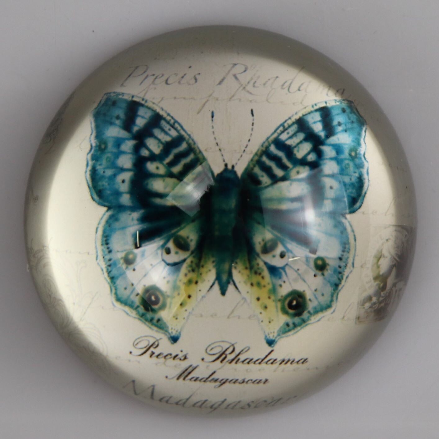 Flache Glaskugel mit blauem Schmetterling (Kreismuseum Zons CC BY-NC-SA)
