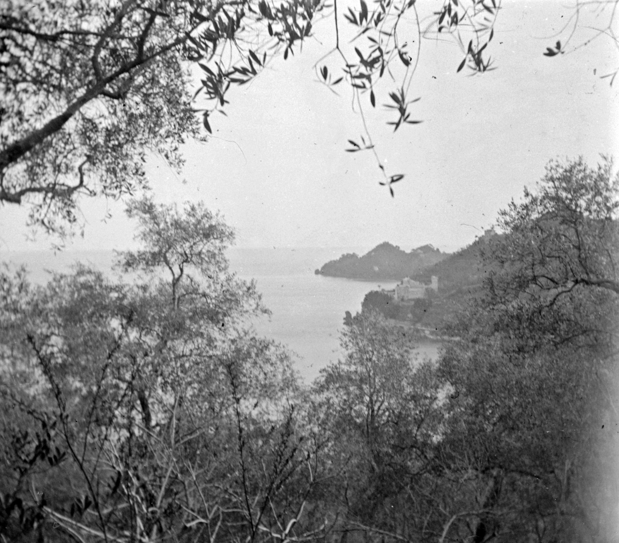 Zwischen Santa Margherita Ligure und Portofino (März/April 1903) 87337 sn R_o.jpg (DRM CC BY-NC-SA)