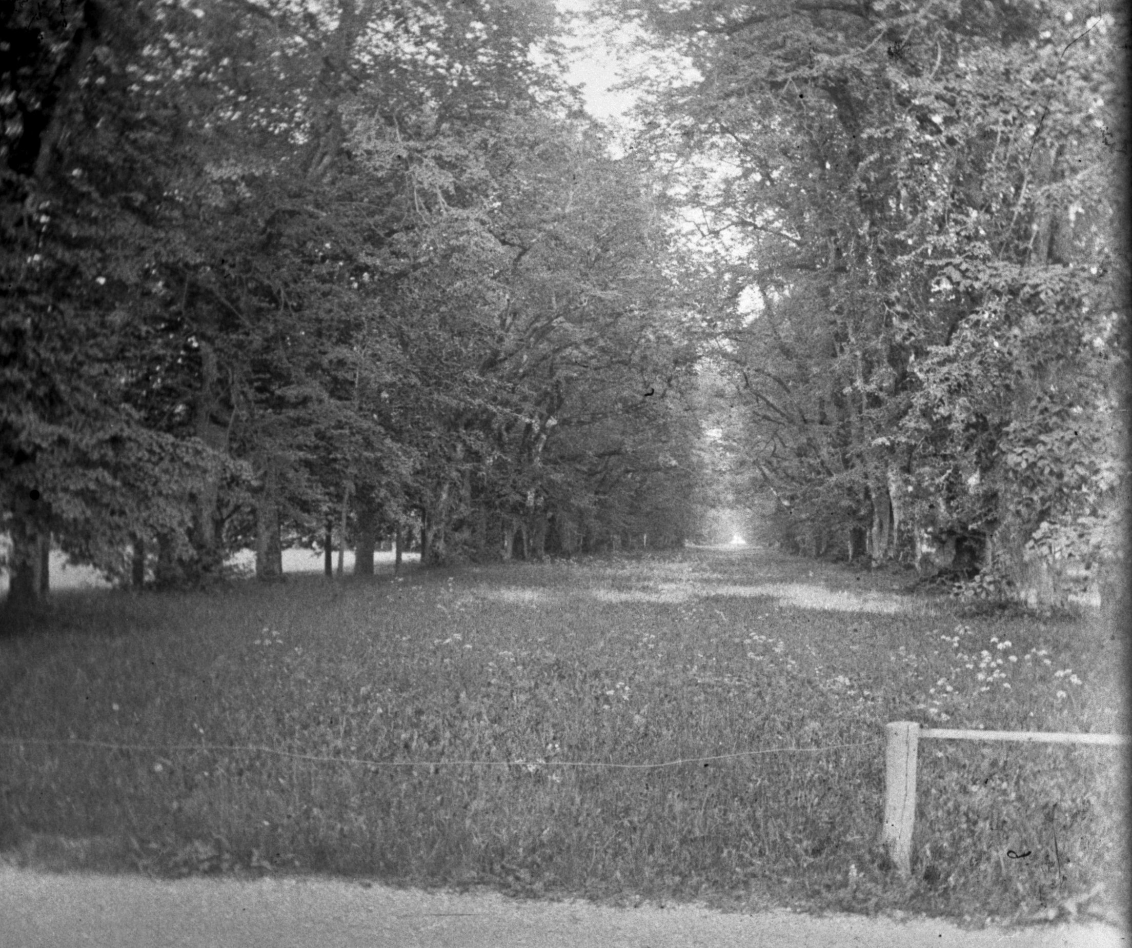 Schlosspark bei München (Pfingsten 1903), 87374 sn R_o.jpg (DRM CC BY-NC-SA)