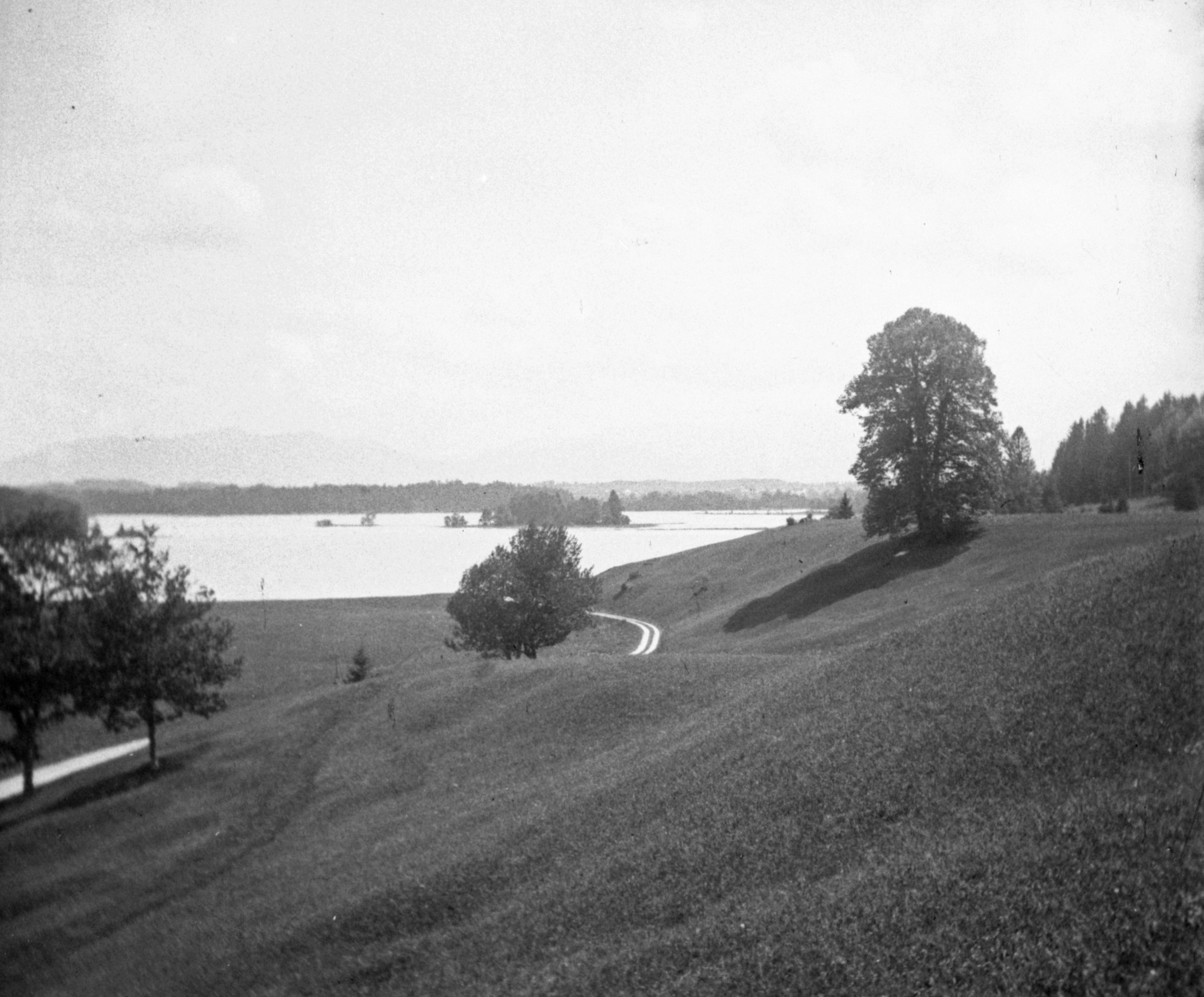 Ufer des Großen Ostersees bei Unterlauterbach (Pfingsten 1903), 87375 sn L_o.jpg (DRM CC BY-NC-SA)