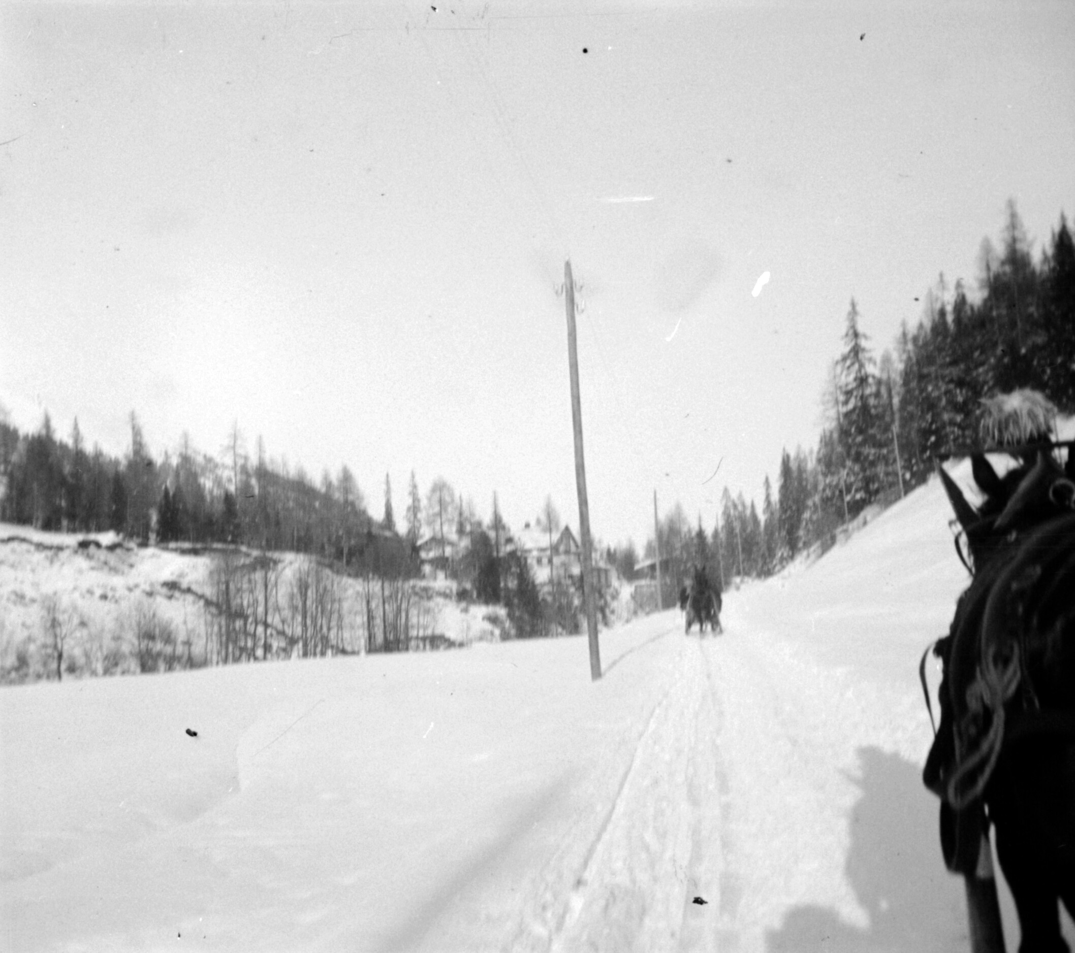 Schlittenfahrt in der Umgebung von Davos (Dezember 1903-Januar 1904), 87468 sn L (DRM CC BY-NC-SA)