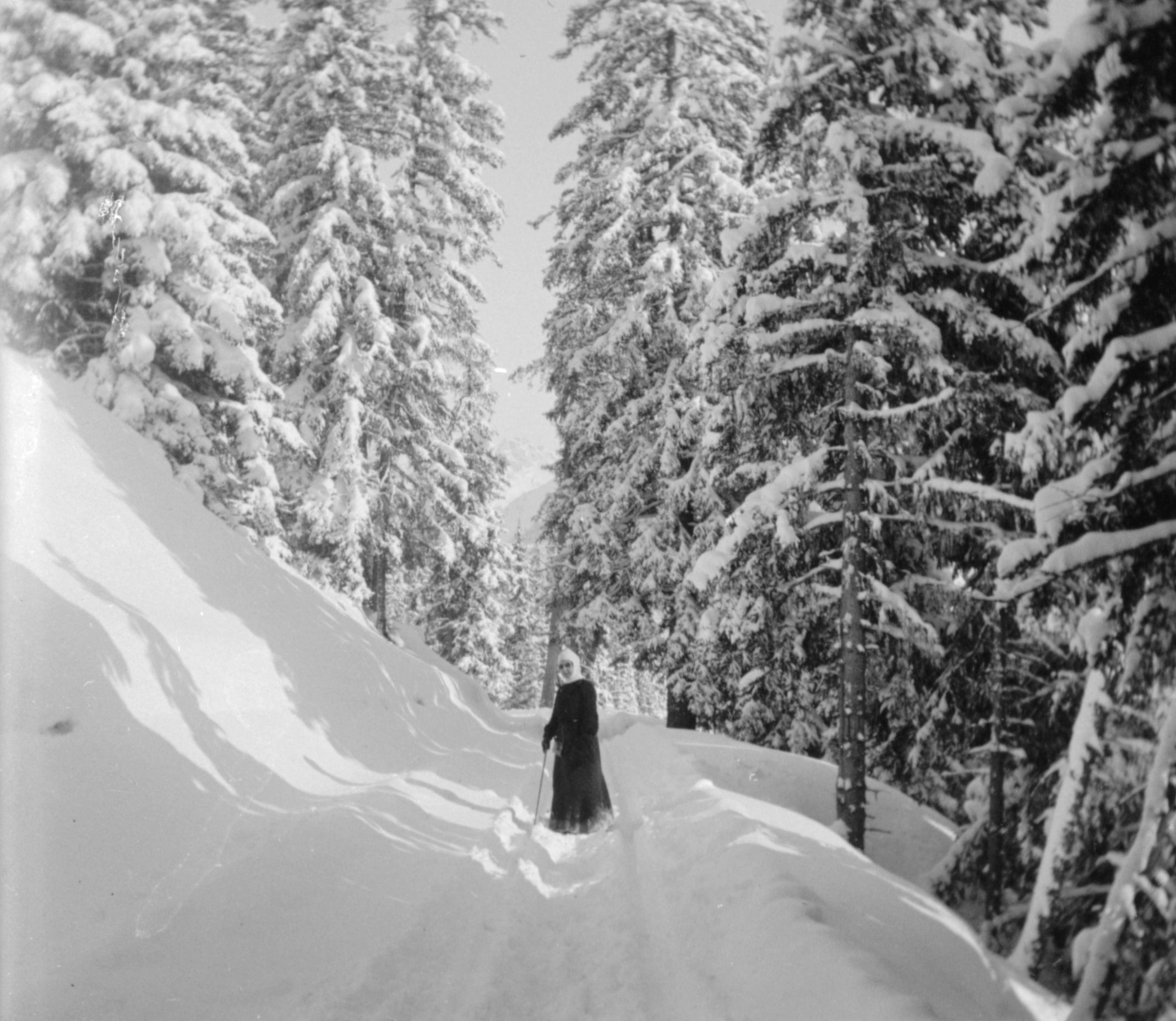 Verschneiter Waldweg bei Davos (Dezember 1904-Januar 1905), 87548 sn L_o.jpg (DRM CC BY-NC-SA)