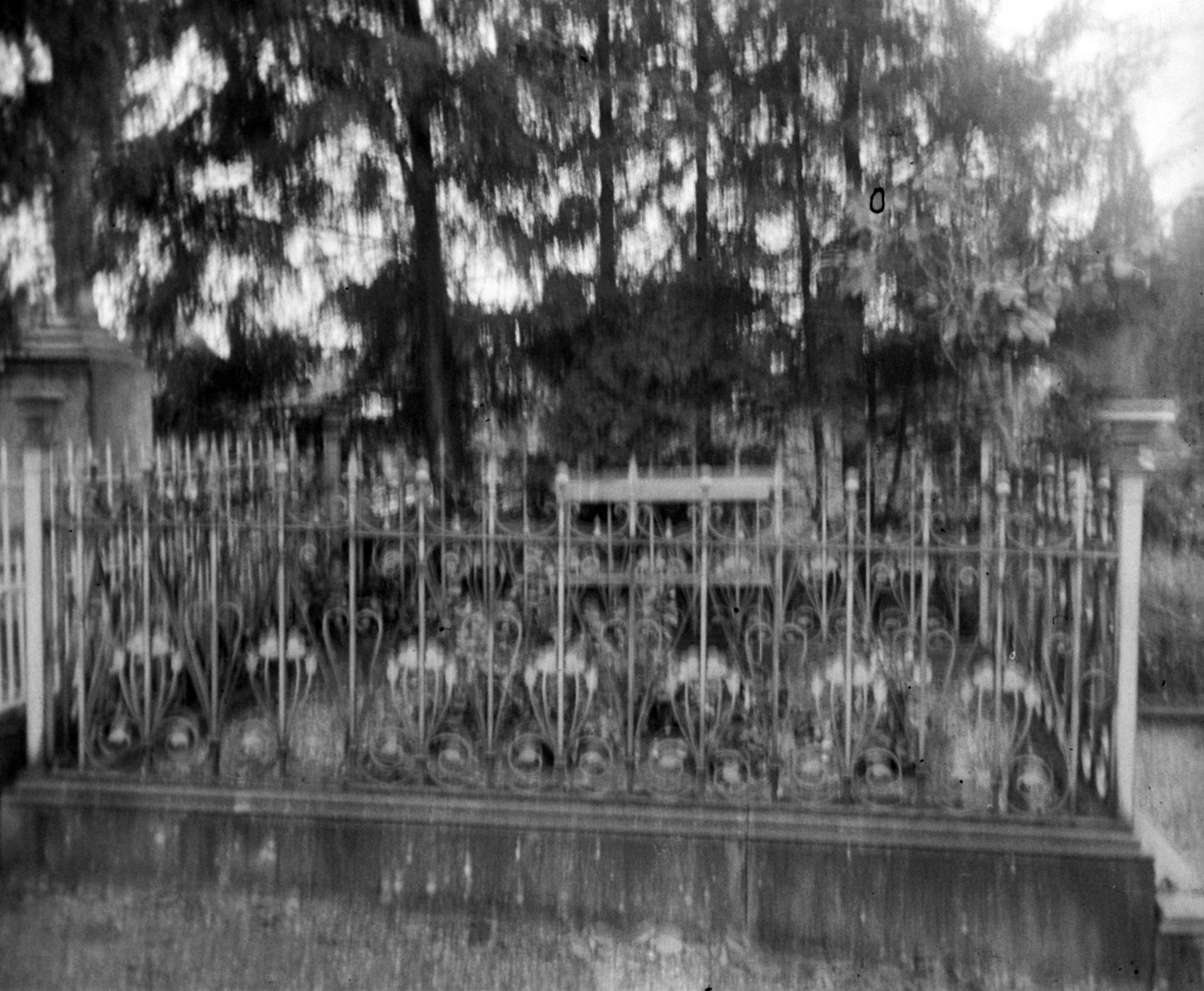 Grab von Röntgens Eltern in Gießen (Oktober 1902), 87207 sn R_o (DRM CC BY-NC-SA)