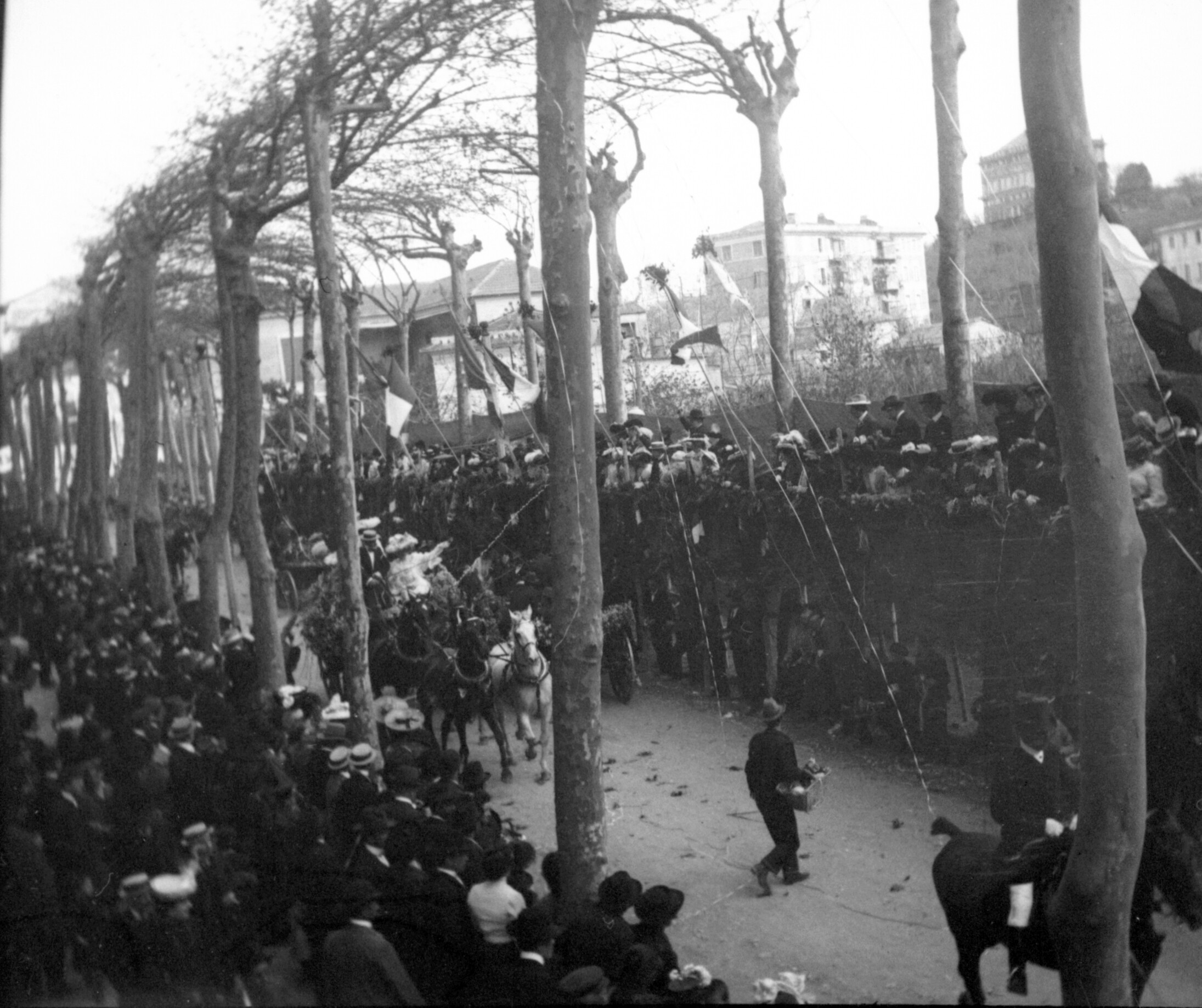Corso di Fiori in Santa Margherita Ligure (März/April 1903), 87309 sn R (DRM CC BY-NC-SA)
