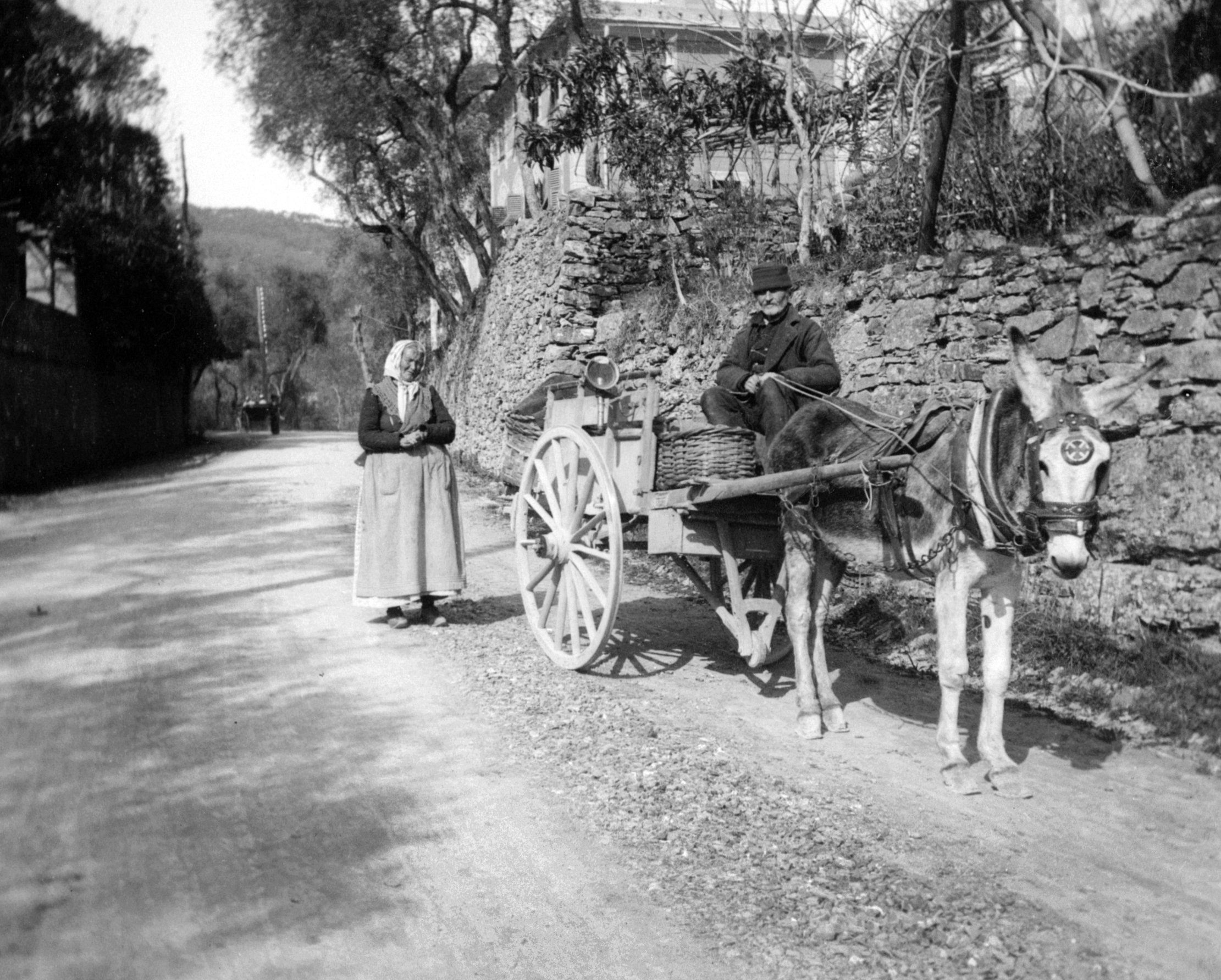 Bauernpaar in San Lorenzo della Costa (März/April 1903), 87320 sn R_o (DRM CC BY-NC-SA)