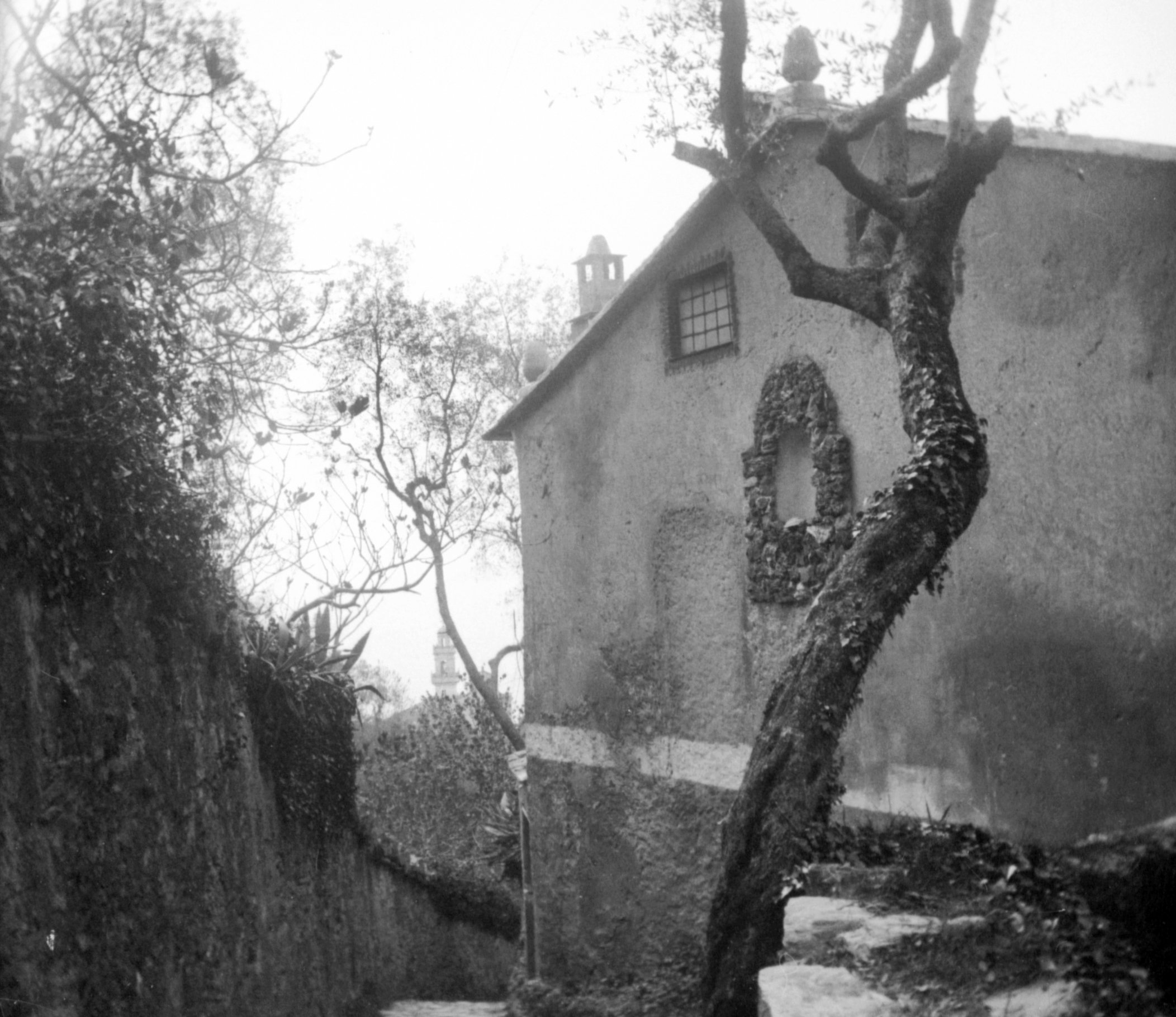 Salita Montallegro in Rapallo (März/April 1903) 87336 sn L_o.jpg (DRM CC BY-NC-SA)