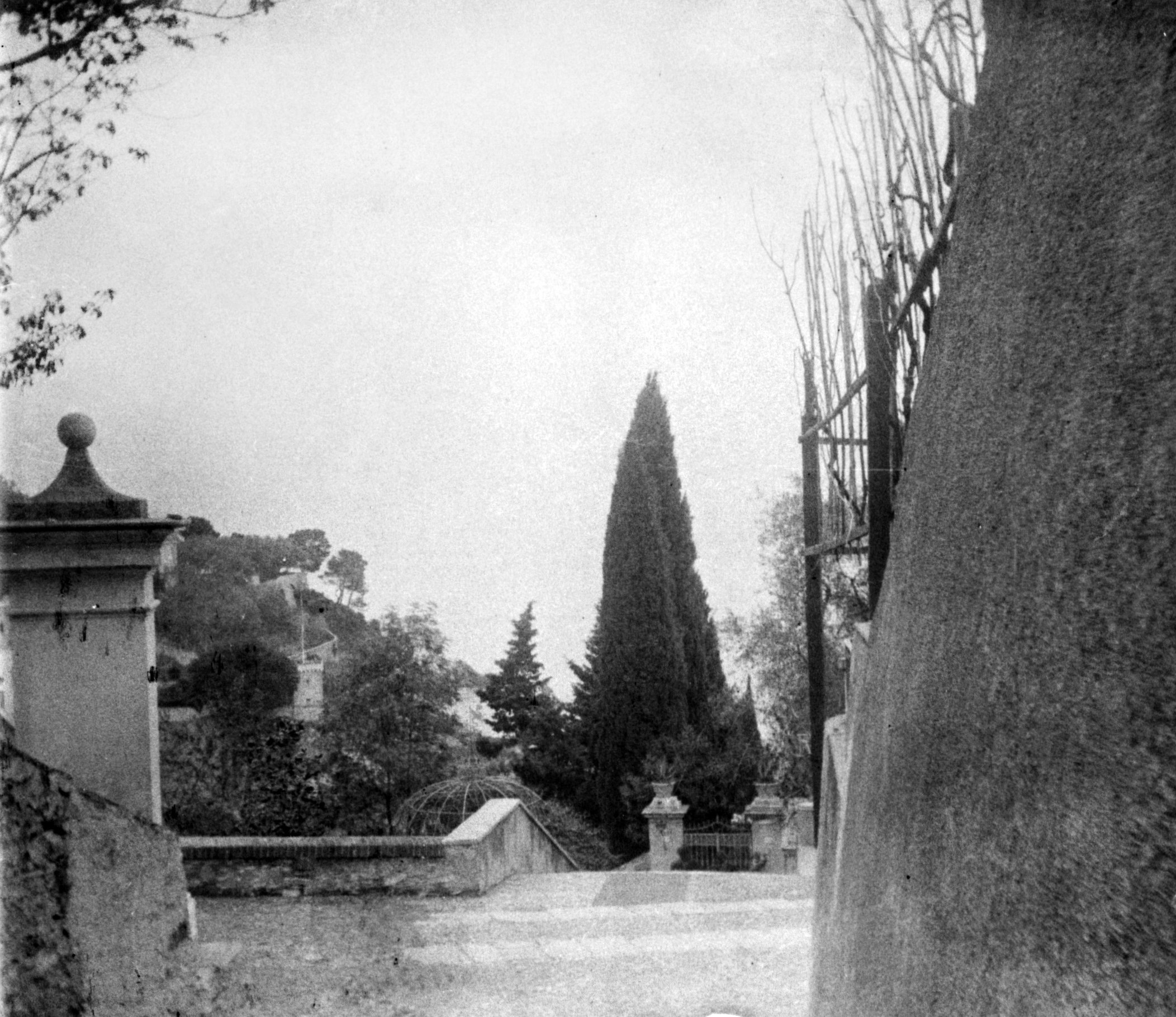 Treppen auf der Via XX Settembre in Zoagli (März/April 1903), 87364 sn L_o.jpg (DRM CC BY-NC-SA)