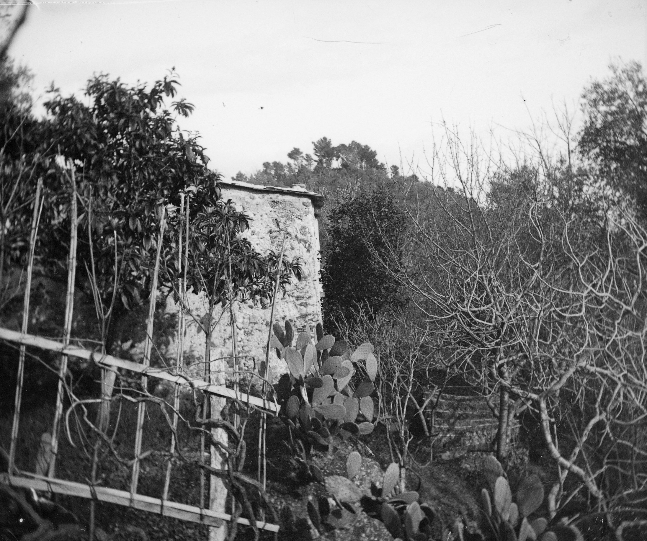 Garten in Santa Margherita Ligure (März/April 1903), 87303 sn R_o (DRM CC BY-NC-SA)
