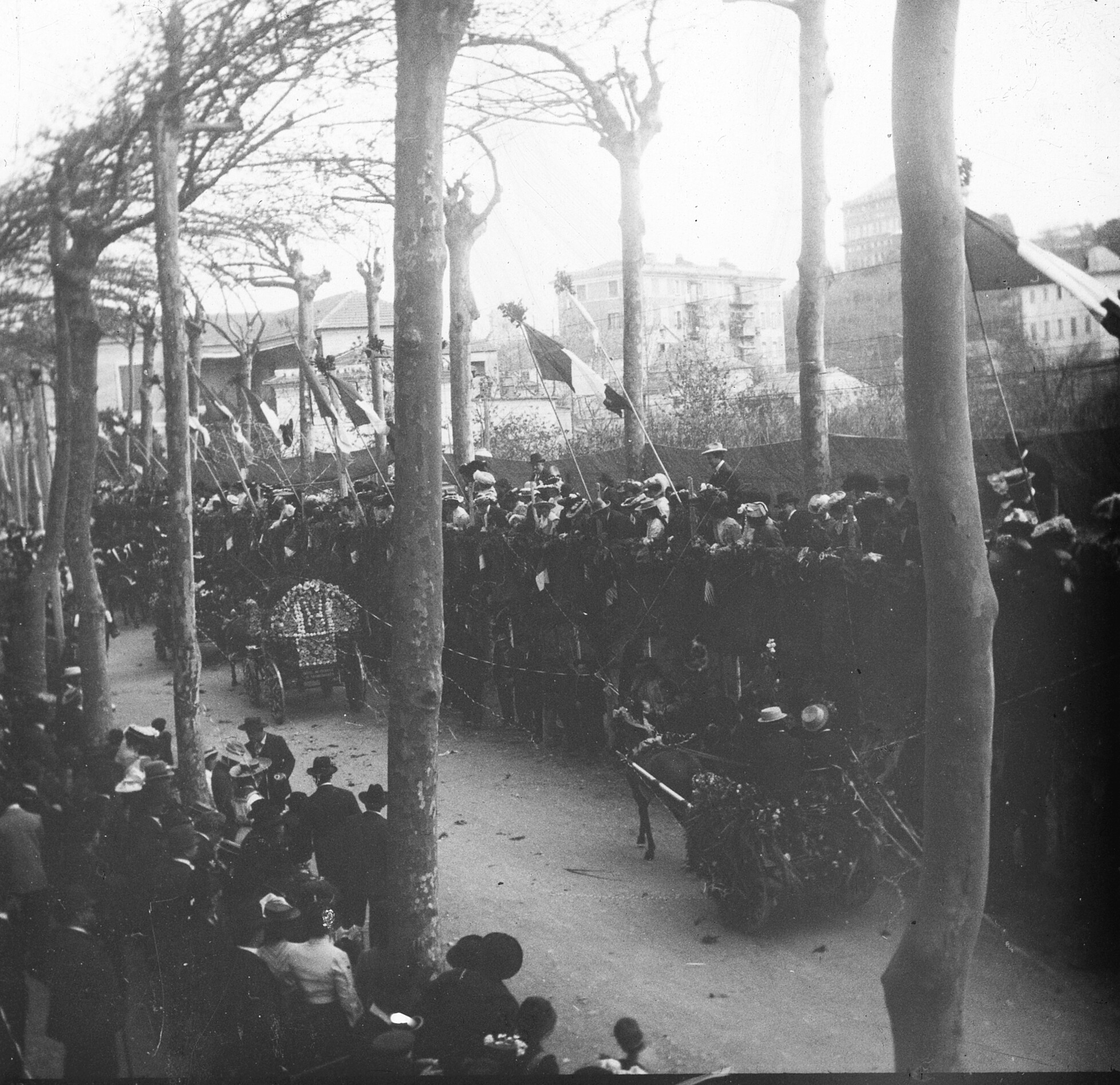 Corso di Fiori in Santa Margherita Ligure (März/April 1903), 87307 sd R (DRM CC BY-NC-SA)