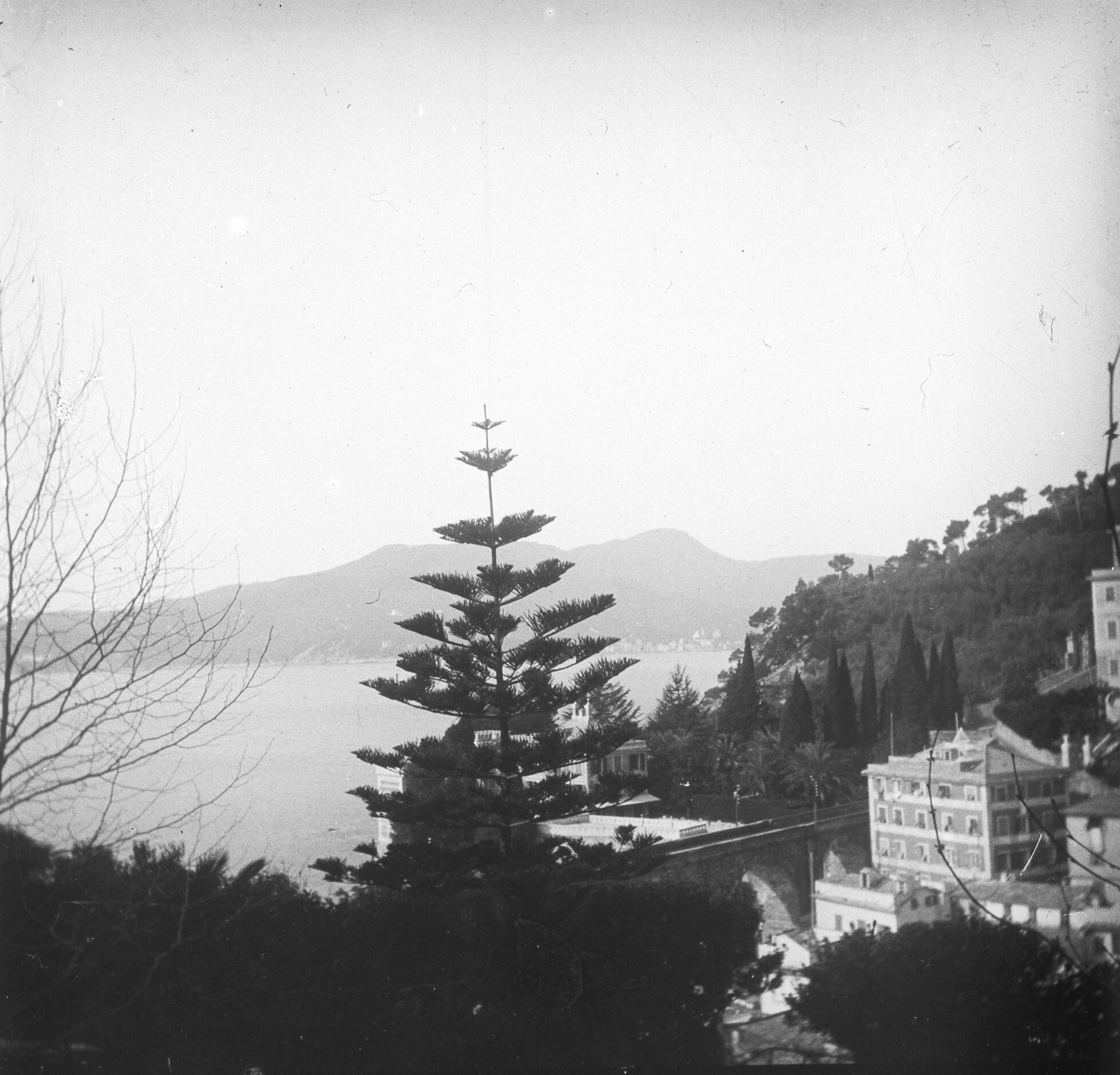 Aussicht von der Via Aurelia auf Zoagli (März/April 1903), 87365 sd R (DRM CC BY-NC-SA)