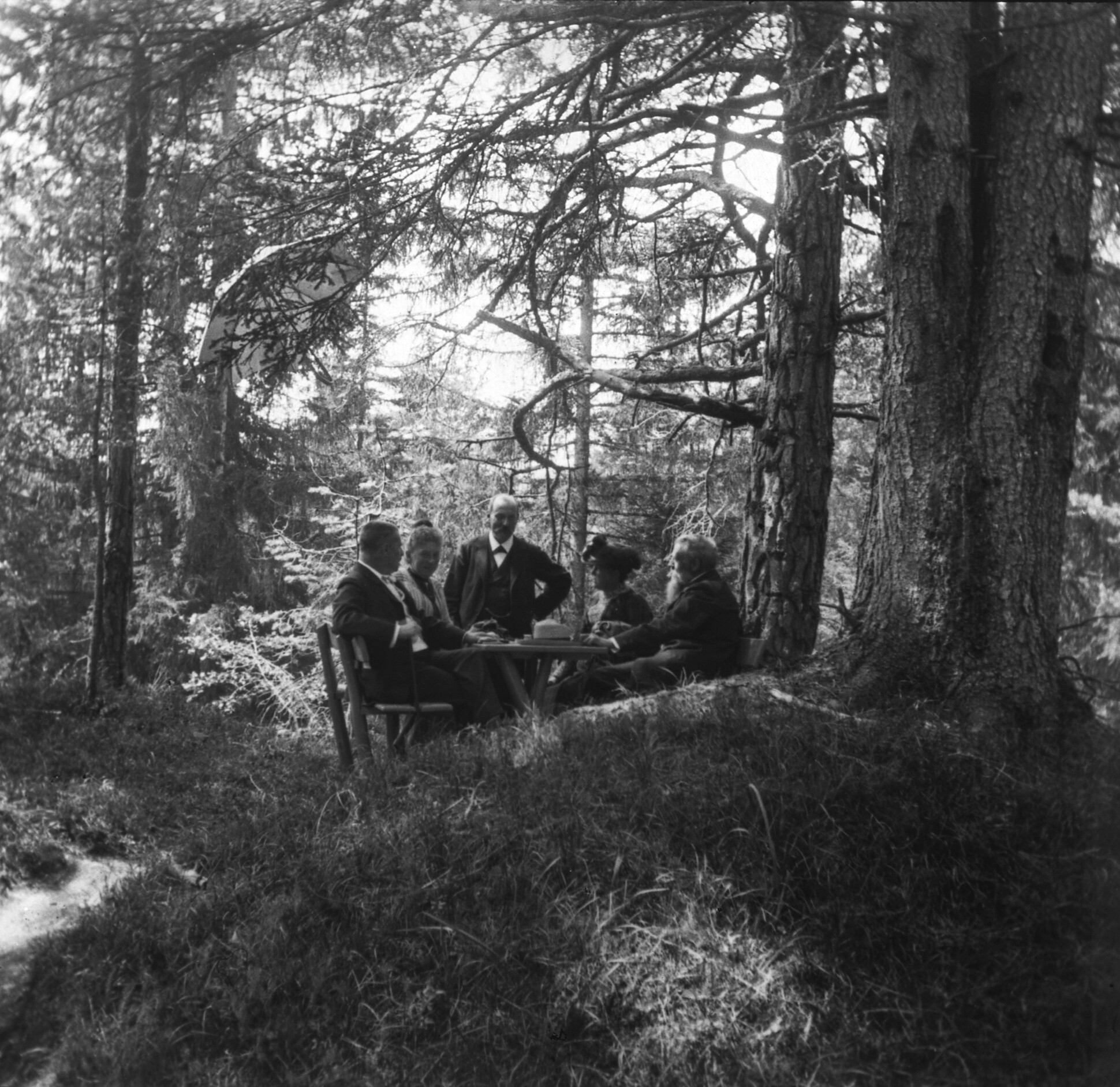 Gruppe im Runcawald bei Flims (August 1903), 87391 sd R (DRM CC BY-NC-SA)