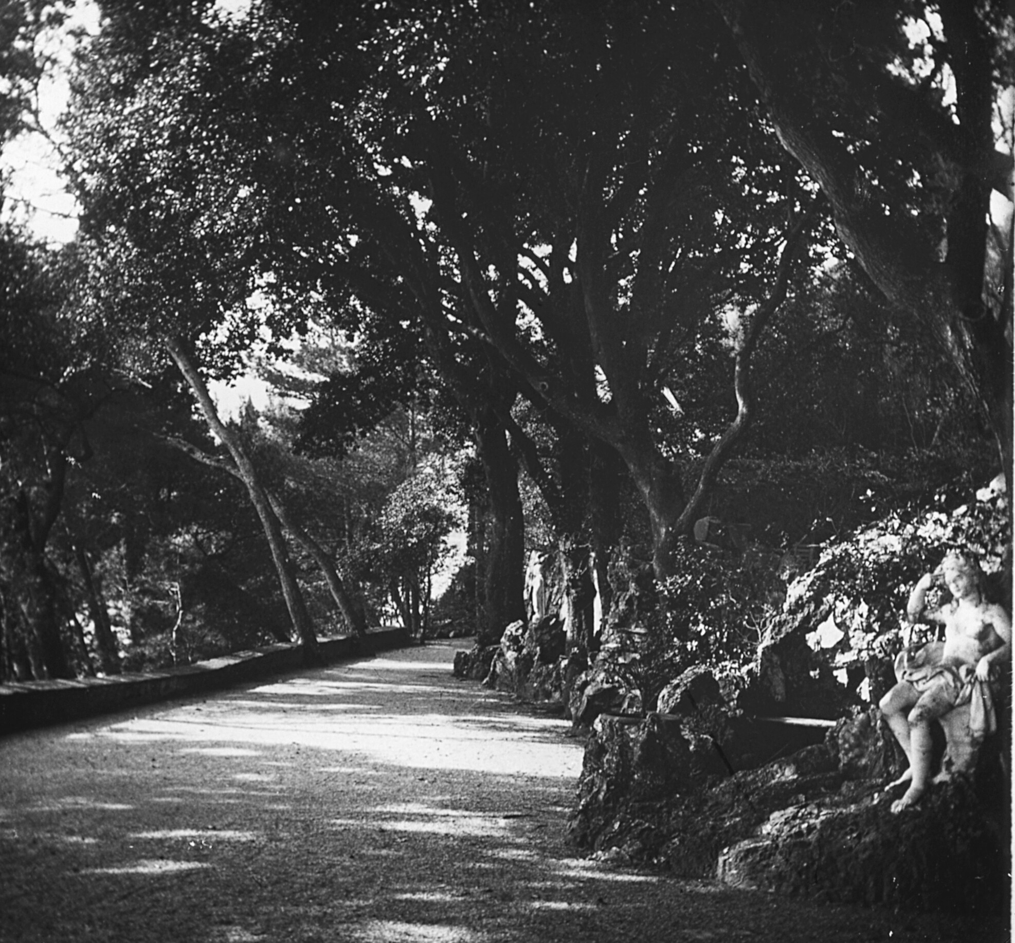 Park in Nervi (März-Apri 1904), 87497 sd L (DRM CC BY-NC-SA)
