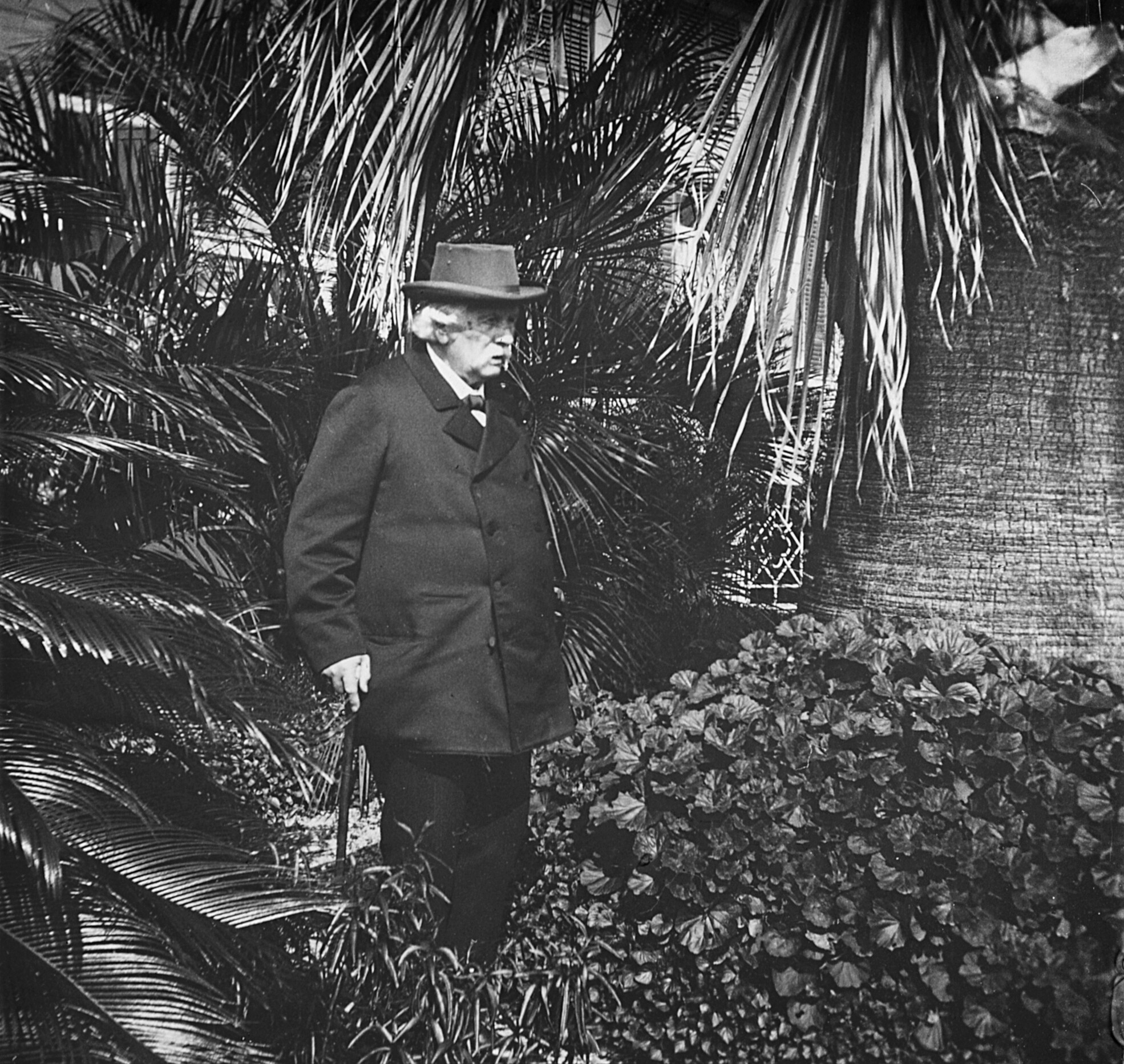 Besuch bei Albert von Koelliker in Nervi (März 1904), 87500 sd R (DRM CC BY-NC-SA)