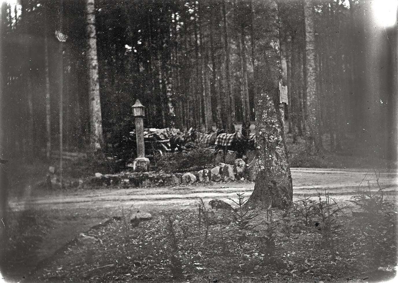 Bildstock im Baden-Badener Stadtwald (April 1899), 86527 gp_o (DRM CC BY-NC-SA)