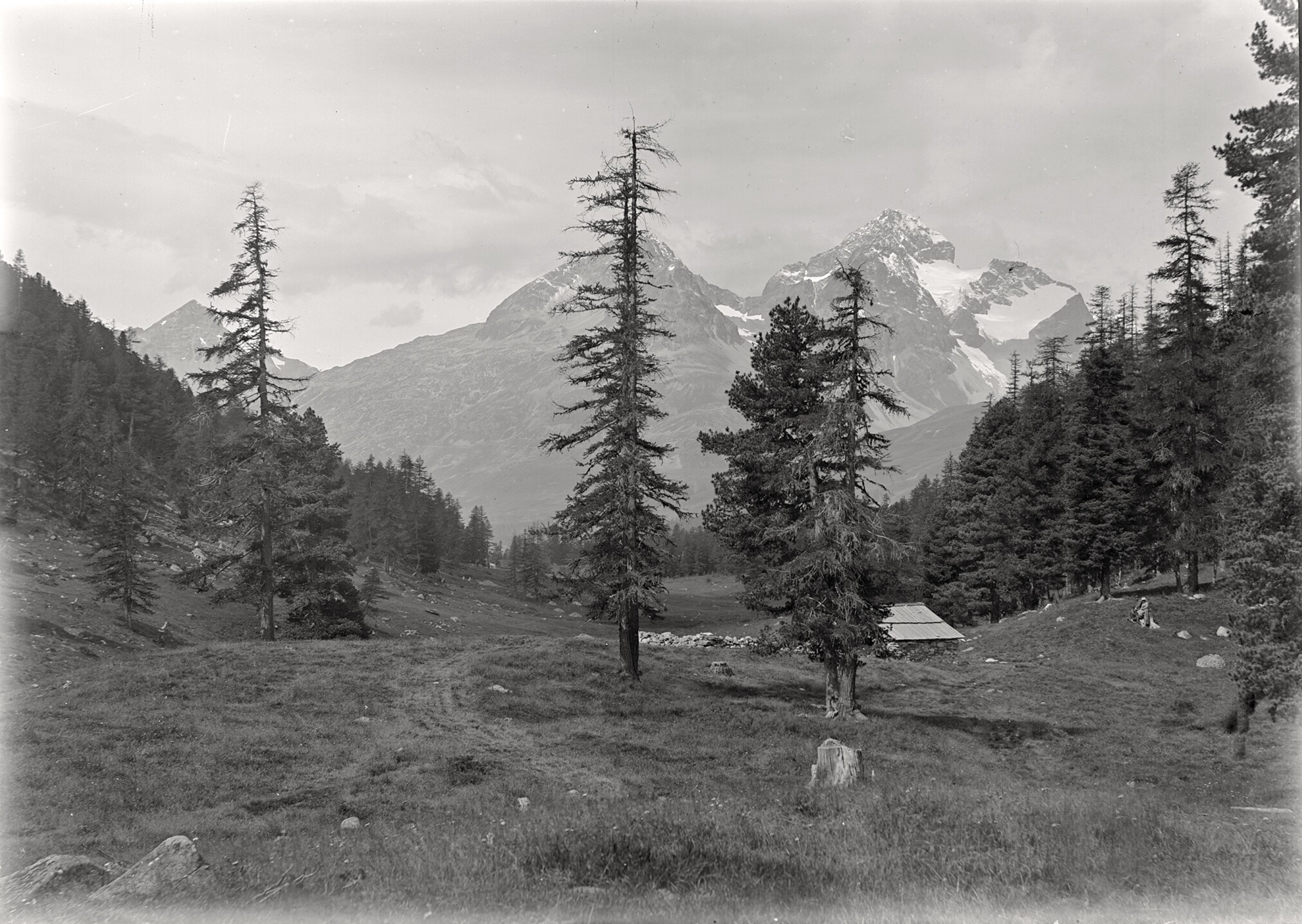 Stazer Alp zwischen Pontresina und St. Moritz (August 1891), 86024 gp_o (DRM CC BY-NC-SA)