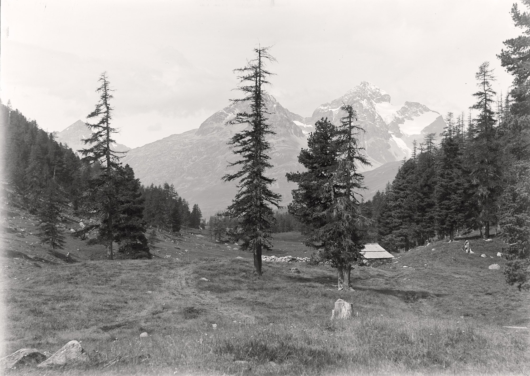 Stazer Alp zwischen Pontresina und St. Moritz (August 1891), 86025_o (DRM CC BY-NC-SA)