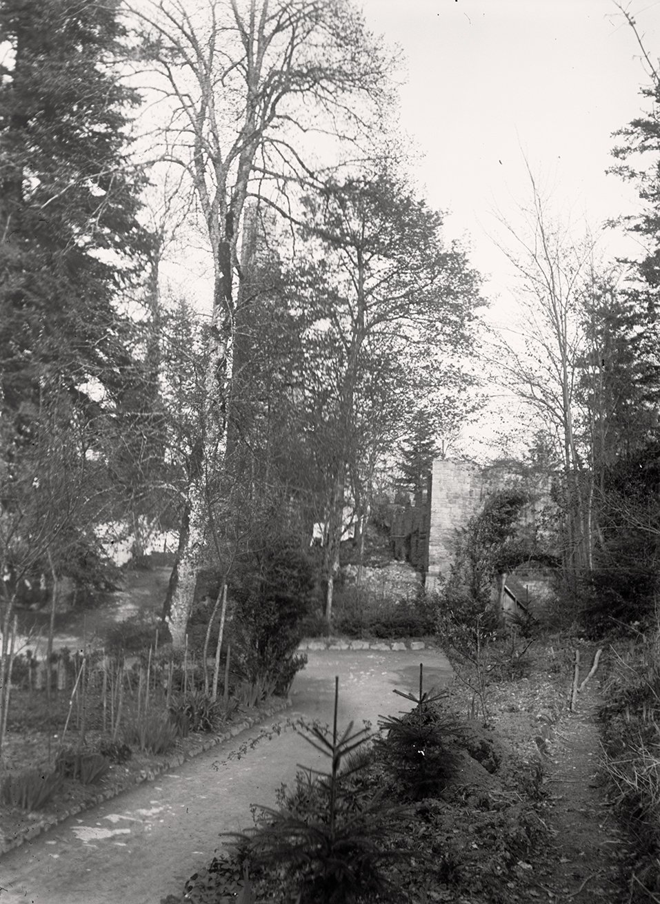 Wald bei Baden-Baden: Waldweg zur Ruine Yburg (17.04.1897), 86425_o (DRM CC BY-NC-SA)