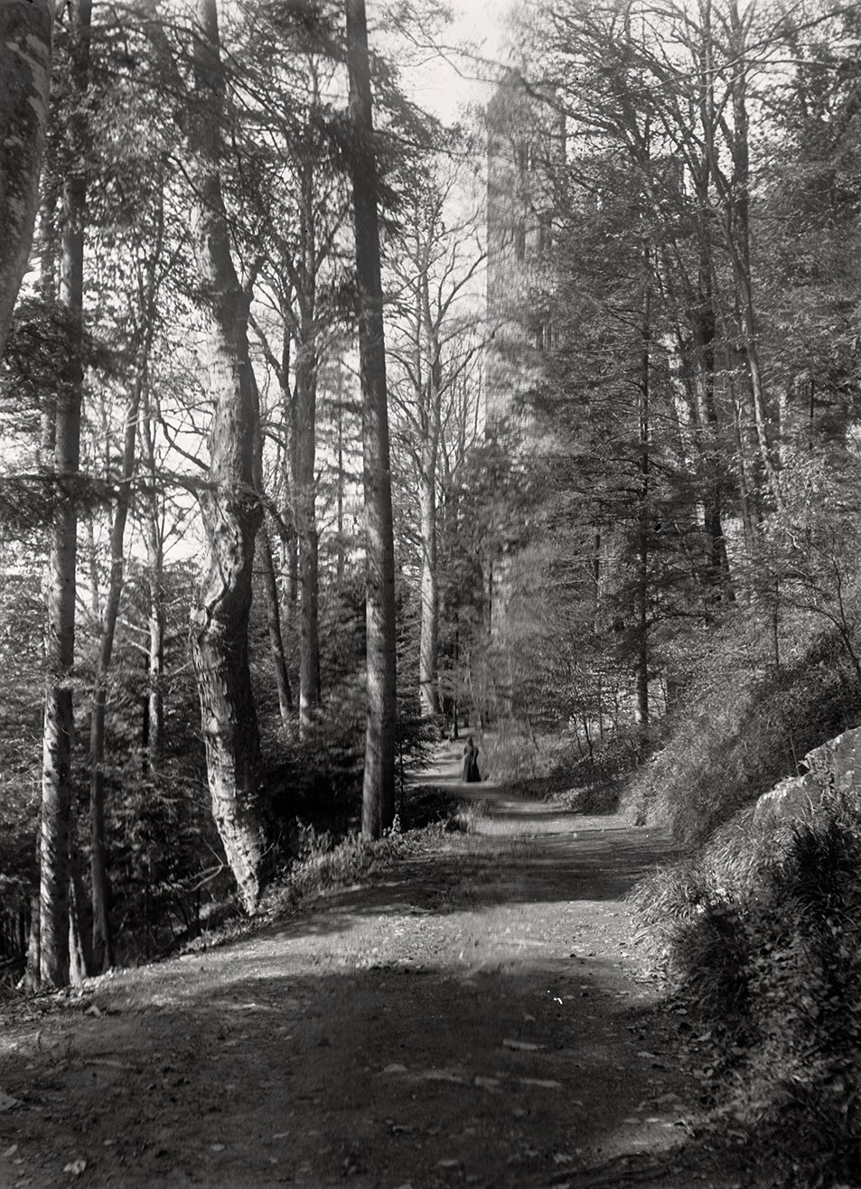 Wald bei Baden-Baden: Waldweg mit Spaziergängerin und Schloss Hohenbaden (17.04.1897), 86426_o (DRM CC BY-NC-SA)