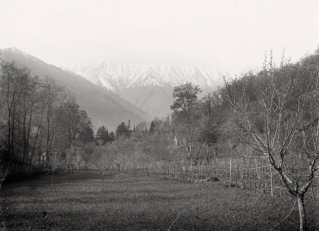 Landschaft oberhalb des Hotels Bellevue in Cadenabbia (09.04.1897), 86450_o (DRM CC BY-NC-SA)
