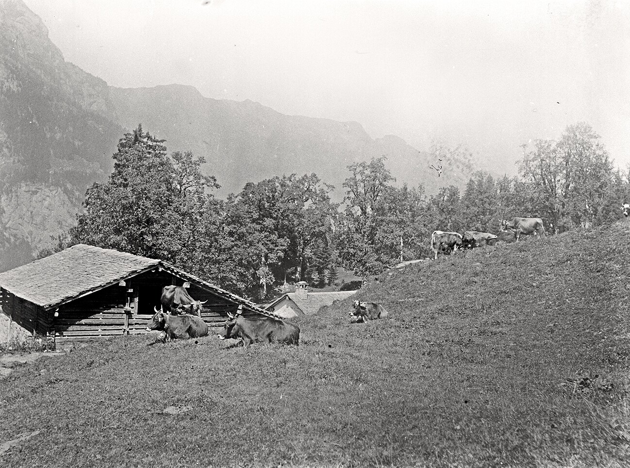 Arnialp bei Engelberg (August 1898), 86507_o (DRM CC BY-NC-SA)