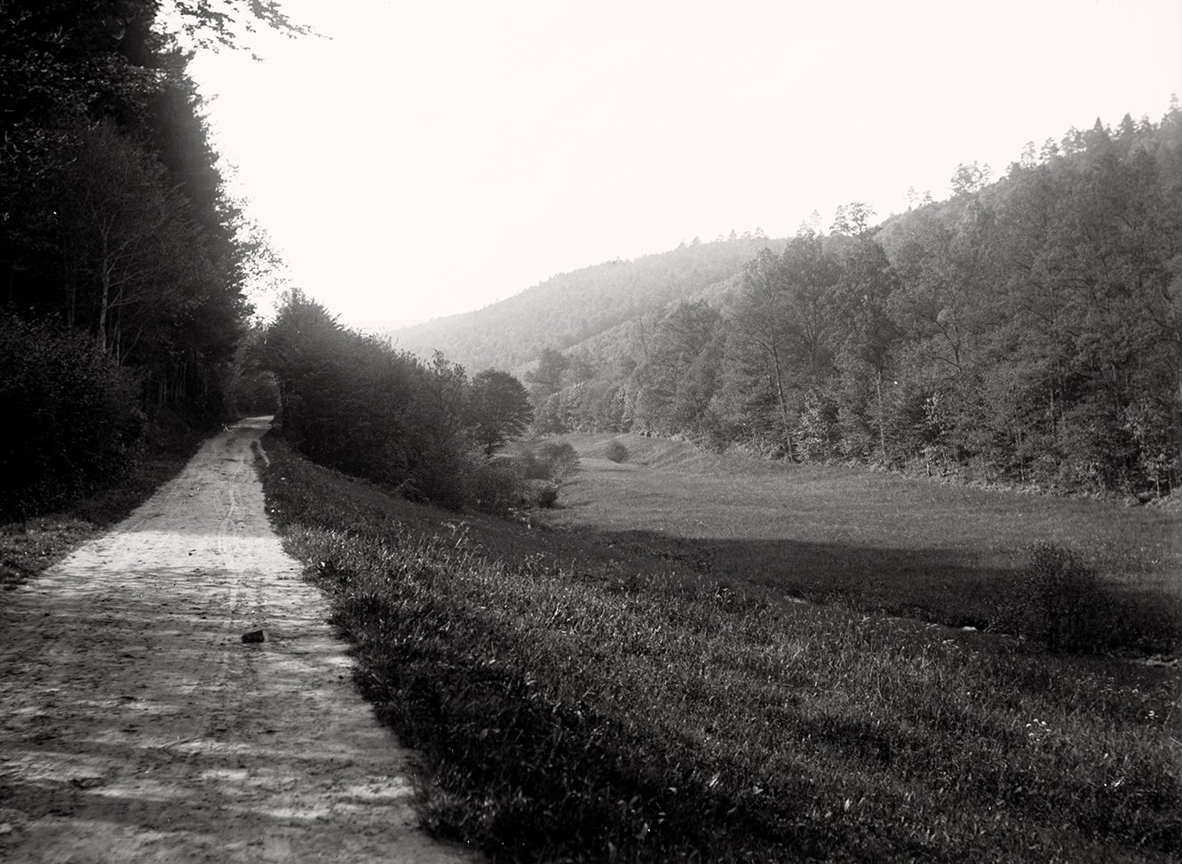 Weg durch das Buchental bei Lohr am Main (Frühjahr 1899), 86519_o (DRM CC BY-NC-SA)