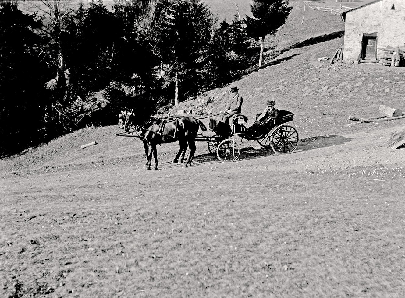 Ausfahrt mit der Kutsche in der Nähe von Territet (März 1899), 86553_o (DRM CC BY-NC-SA)