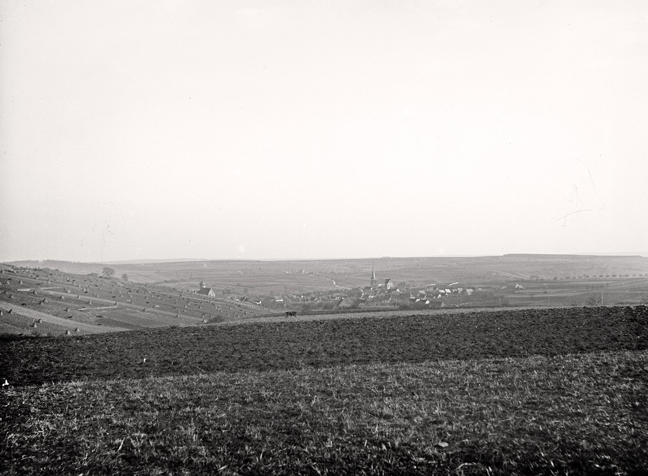 Felder vor Rimpar (März 1900), 86588_o (DRM CC BY-NC-SA)