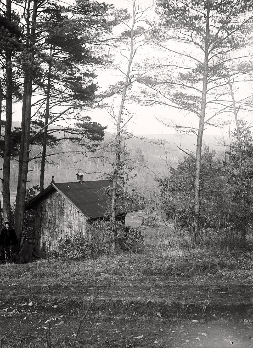 Bertha Röntgen hinter der Jagdhütte in Rimpar (März 1900), 86599_o (DRM CC BY-NC-SA)