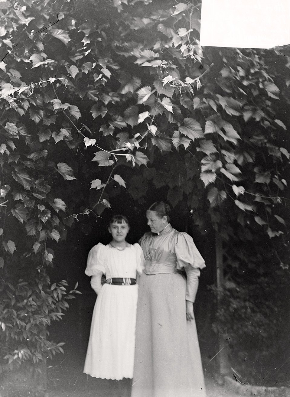 Bertha Röntgen und Josephine Bertha Ludwig vor der Gartenlaube im Garten der Röntgens (21.Juli 1895), 86637_o (DRM CC BY-NC-SA)
