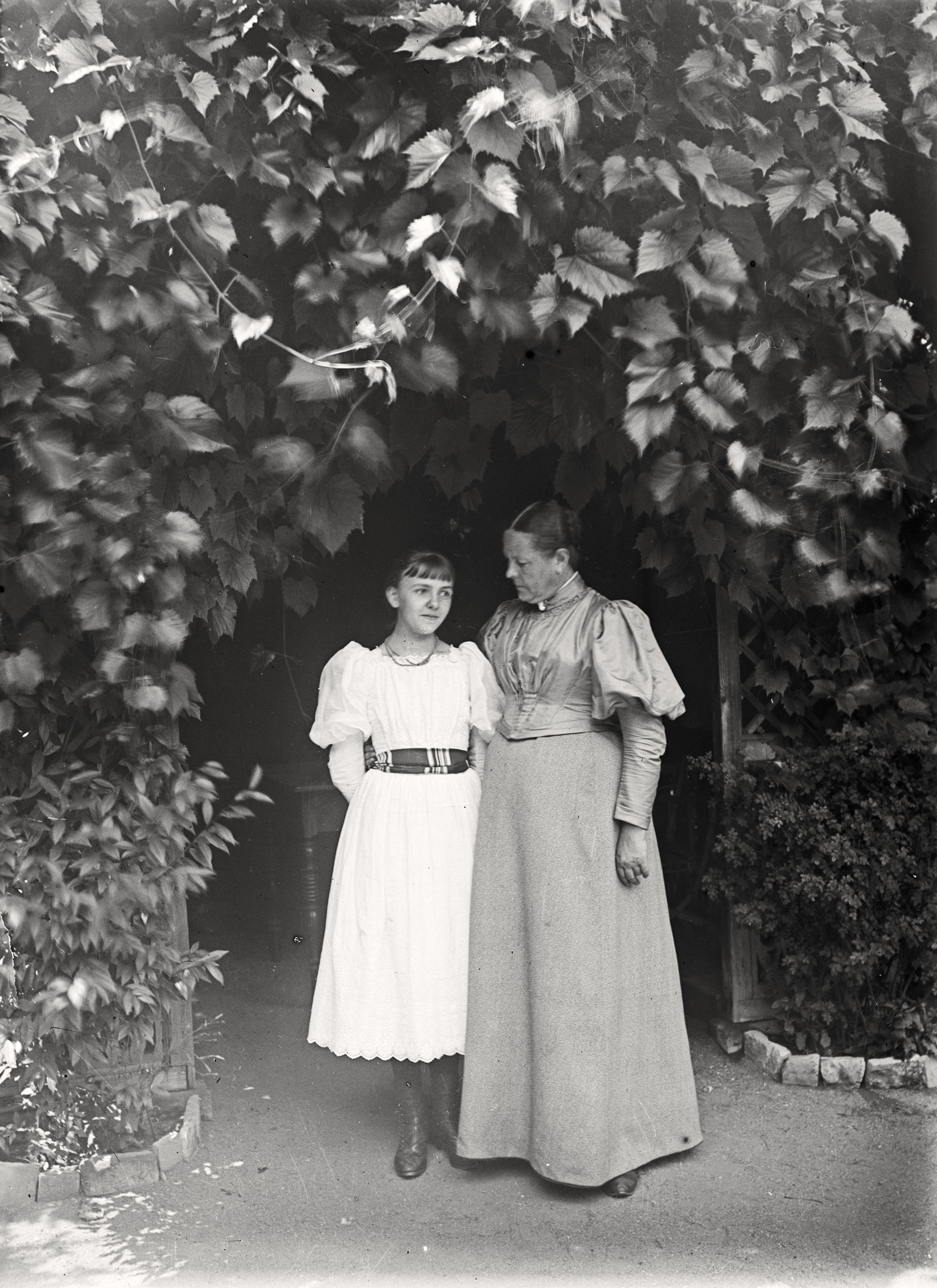 Bertha Röntgen und Josephine Bertha Ludwig vor der Gartenlaube im Garten der Röntgens (21.Juli 1895), 86647_o (DRM CC BY-NC-SA)
